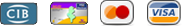 paiement visa mastercard